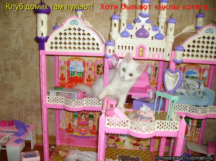 Клуб домик там пукают! Хотя бывают куклы котята...... Котоматрица: Клуб домик там пукают! Хотя бывают куклы котята...