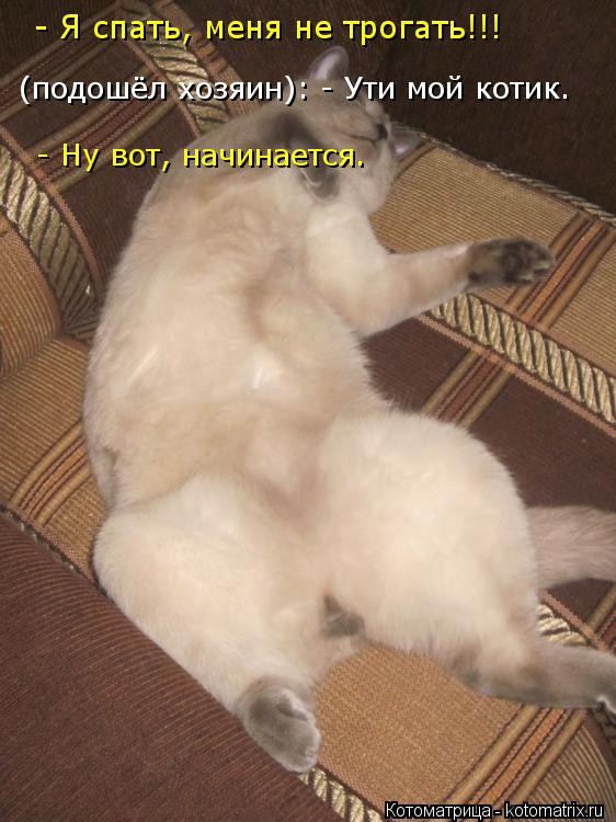 - Я спать, меня не трогать!!! (подошёл хозяин): - Ути мой котик. - Ну вот, начинается.... Котоматрица: - Я спать, меня не трогать!!! (подошёл хозяин): - Ути мой котик. - Ну вот, начинается.