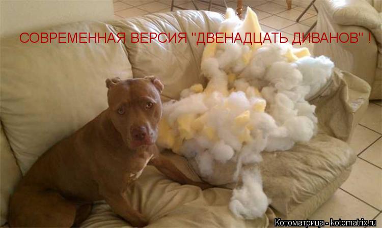СОВРЕМЕННАЯ ВЕРСИЯ "ДВЕНАДЦАТЬ ДИВАНОВ" !... Котоматрица: СОВРЕМЕННАЯ ВЕРСИЯ "ДВЕНАДЦАТЬ ДИВАНОВ" !