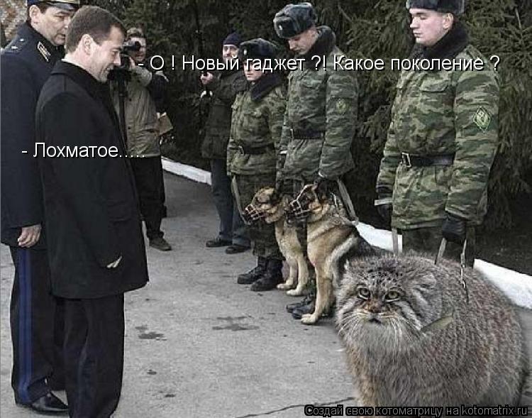 - О ! Новый гаджет ?! Какое поколение ? - Лохматое........ Котоматрица: - О ! Новый гаджет ?! Какое поколение ? - Лохматое.....