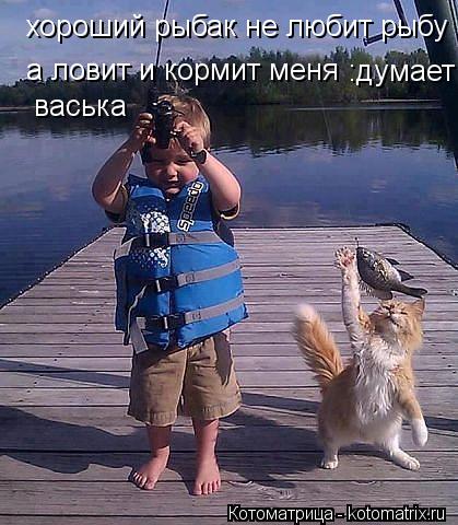 хороший рыбак не любит рыбу а ловит и кормит меня :думает васька васька... Котоматрица: хороший рыбак не любит рыбу а ловит и кормит меня :думает васька васька