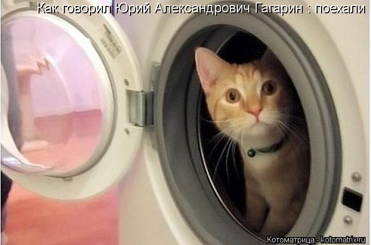 Как говорил Юрий Александрович Гагарин : поехали... Котоматрица: Как говорил Юрий Александрович Гагарин : поехали