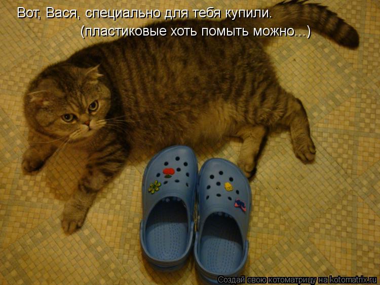 Вот, Вася, специально для тебя купили. (пластиковые хоть помыть можно...)... Котоматрица: Вот, Вася, специально для тебя купили. (пластиковые хоть помыть можно...)