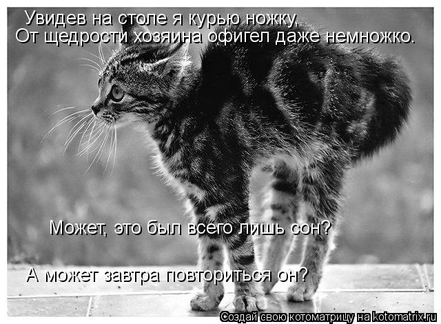 Увидев на столе я курью ножку, От щедрости хозяина офигел даже немножко. Может, это был всего лишь со... Котоматрица: Увидев на столе я курью ножку, От щедрости хозяина офигел даже немножко. Может, это был всего лишь сон? А может завтра повториться он?