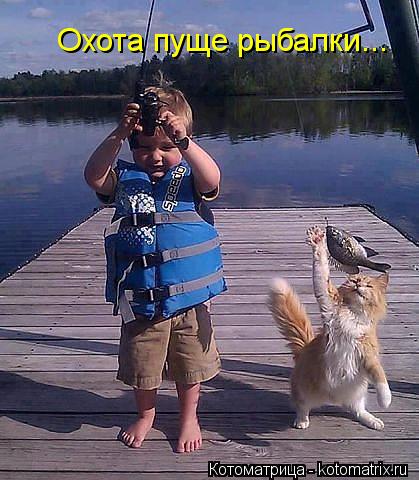 Охота пуще рыбалки...... Котоматрица: Охота пуще рыбалки...