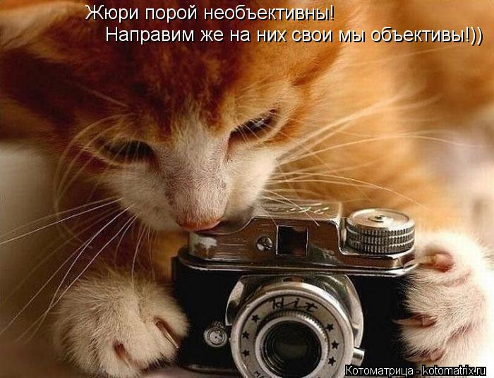 Жюри порой необъективны! Направим же на них свои мы объективы!))... Котоматрица: Жюри порой необъективны! Направим же на них свои мы объективы!))