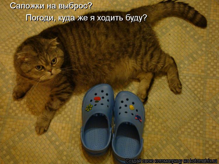 Сапожки на выброс? Погоди, куда же я ходить буду?... Котоматрица: Сапожки на выброс? Погоди, куда же я ходить буду?