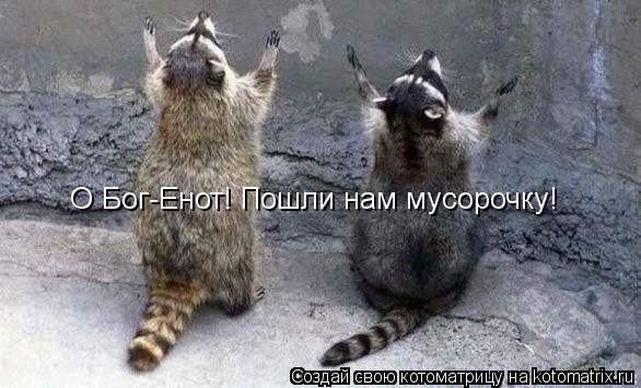 О Бог-Енот! Пошли нам мусорочку!... Котоматрица: О Бог-Енот! Пошли нам мусорочку!