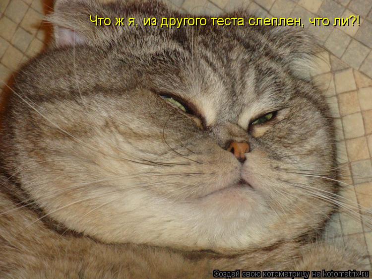 Что ж я, из другого теста слеплен, что ли?!... Котоматрица: Что ж я, из другого теста слеплен, что ли?!