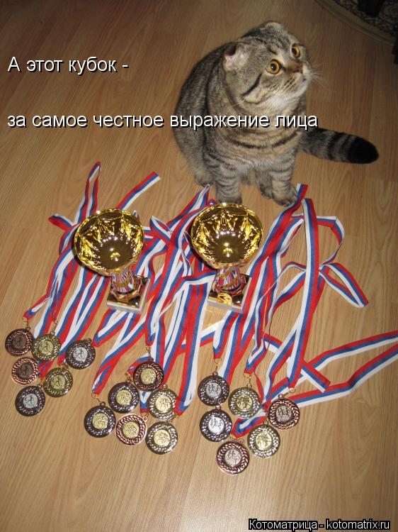 за самое честное выражение лица А этот кубок -... Котоматрица: за самое честное выражение лица А этот кубок -