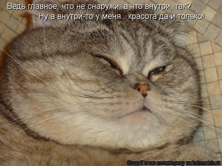 Ведь главное, что не снаружи, а что внутри, так? Ну а внутри-то у меня.. красота да и только!... Котоматрица: Ведь главное, что не снаружи, а что внутри, так? Ну а внутри-то у меня.. красота да и только!