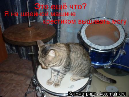 Это ещё что? Я на швейной машине крестиком вышивать могу... Котоматрица: Это ещё что? Я на швейной машине крестиком вышивать могу