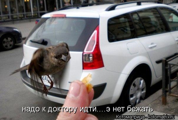 надо к доктору идти....э нет бежать... Котоматрица: надо к доктору идти....э нет бежать