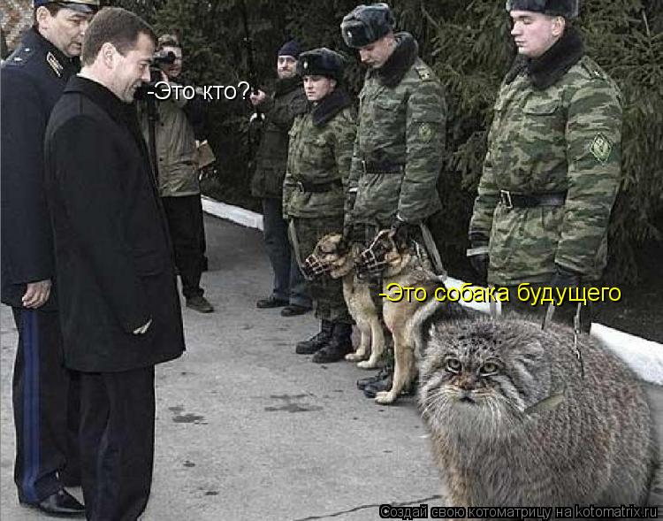 -Это кто? -Это собака будущего... Котоматрица: -Это кто? -Это собака будущего