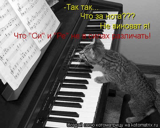 -Так так... Что за нота??? Не виноват я! Что "Си" и "Ре" не в силах различать!... Котоматрица: -Так так... Что за нота??? Не виноват я! Что "Си" и "Ре" не в силах различать!