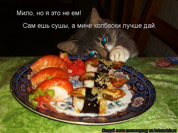 Мило, но я это не ем! Сам ешь сушы, а мине колбаски лучше дай.... Котоматрица: Мило, но я это не ем! Сам ешь сушы, а мине колбаски лучше дай.