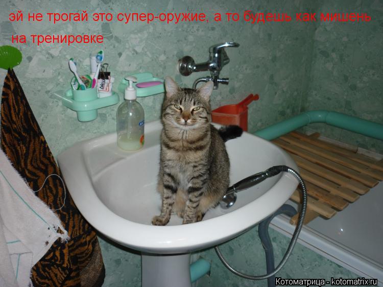 эй не трогай это супер-оружие, а то будешь как мишень на тренировке... Котоматрица: эй не трогай это супер-оружие, а то будешь как мишень на тренировке