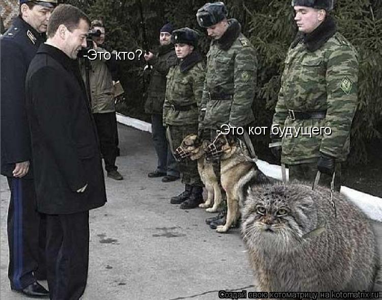 -Это кто? -Это кот будущего... Котоматрица: -Это кто? -Это кот будущего
