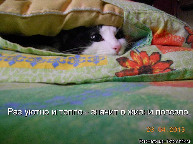 Раз уютно и тепло - значит в жизни повезло.... Котоматрица: Раз уютно и тепло - значит в жизни повезло.