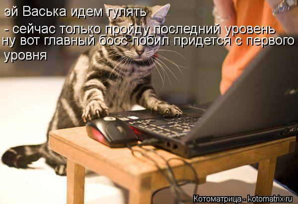 эй Васька идем гулять - сейчас только пройду последний уровень ну вот главный босс побил придется с ... Котоматрица: эй Васька идем гулять - сейчас только пройду последний уровень ну вот главный босс побил придется с первого уровня