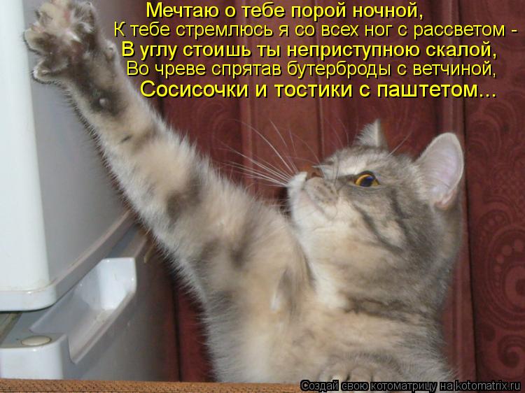 Мечтаю о тебе порой ночной, К тебе стремлюсь я со всех ног с рассветом - В углу стоишь ты неприступ... Котоматрица: Мечтаю о тебе порой ночной, К тебе стремлюсь я со всех ног с рассветом - В углу стоишь ты неприступною скалой, Во чреве спрятав бутерброды с