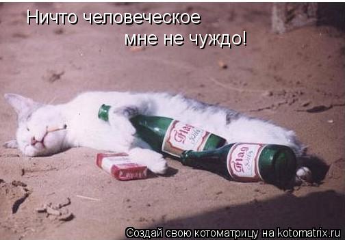 Ничто человеческое мне не чуждо!... Котоматрица: Ничто человеческое мне не чуждо!