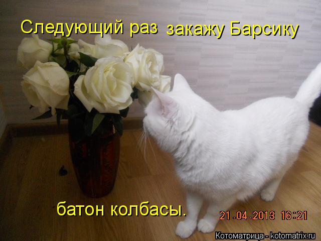 Следующий раз закажу Барсику батон колбасы.... Котоматрица: Следующий раз закажу Барсику батон колбасы.