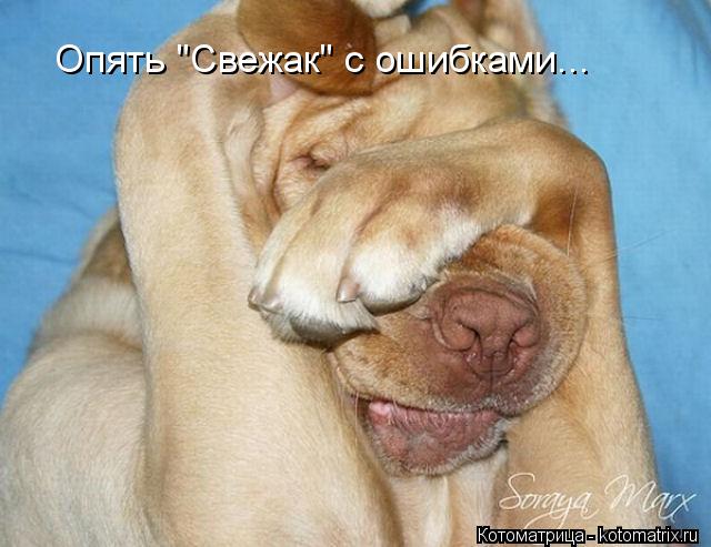 Опять "Свежак" с ошибками...... Котоматрица: Опять "Свежак" с ошибками...