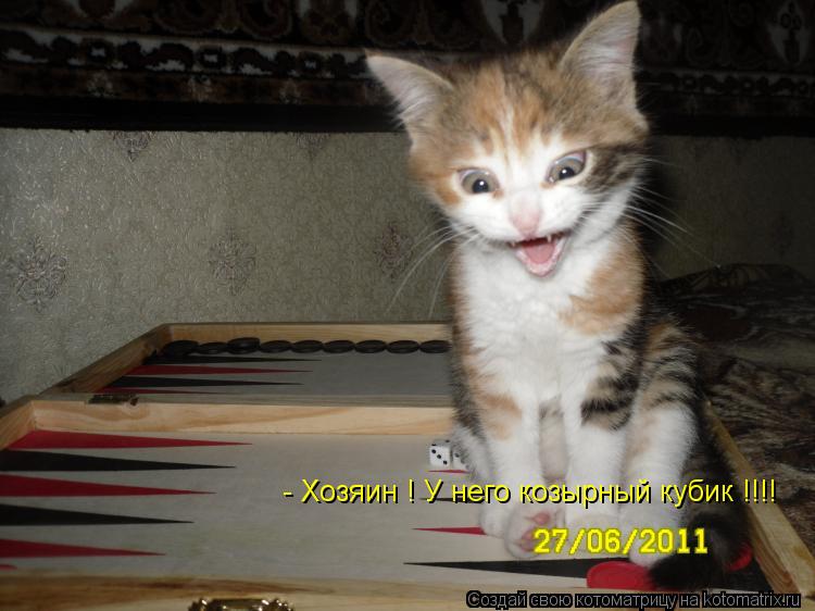 - Хозяин ! У него козырный кубик !!!!... Котоматрица: - Хозяин ! У него козырный кубик !!!!