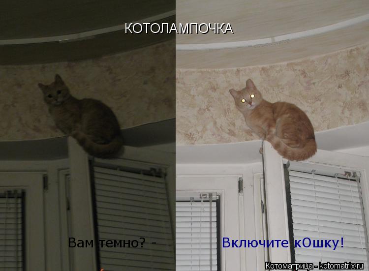 Вам темно? - Включите кОшку! КОТОЛАМПОЧКА... Котоматрица: Вам темно? - Включите кОшку! КОТОЛАМПОЧКА
