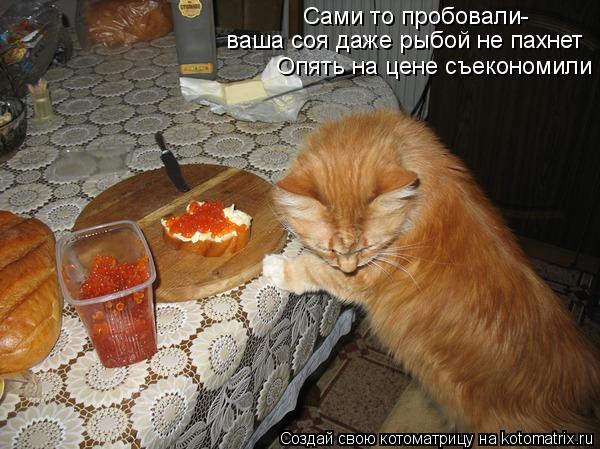 Сами то пробовали- ваша соя даже рыбой не пахнет Опять на цене съекономили... Котоматрица: Сами то пробовали- ваша соя даже рыбой не пахнет Опять на цене съекономили