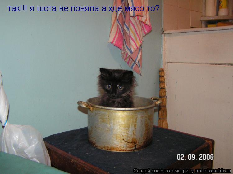 так!!! я шота не поняла а хде мясо то?... Котоматрица: так!!! я шота не поняла а хде мясо то?
