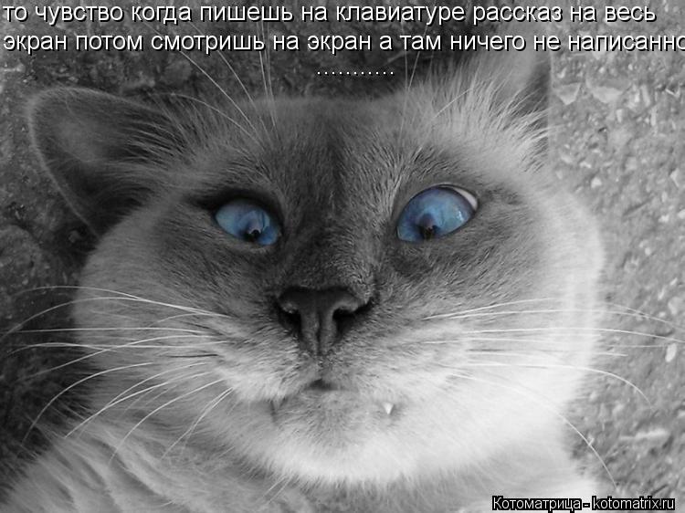 то чувство когда пишешь на клавиатуре рассказ на весь экран потом смотришь на экран а там ничего не ... Котоматрица: то чувство когда пишешь на клавиатуре рассказ на весь экран потом смотришь на экран а там ничего не написанно... ...........