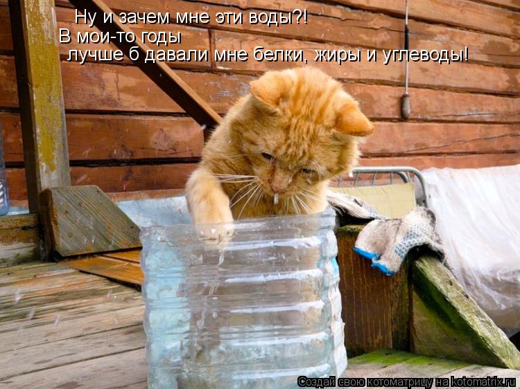 Ну и зачем мне эти воды?! В мои-то годы лучше б давали мне белки, жиры и углеводы!... Котоматрица: Ну и зачем мне эти воды?! В мои-то годы лучше б давали мне белки, жиры и углеводы!