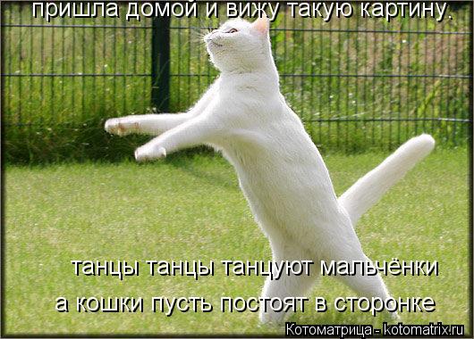 танцы танцы танцуют мальчёнки а кошки пусть постоят в сторонке пришла домой и вижу такую картину .... Котоматрица: танцы танцы танцуют мальчёнки а кошки пусть постоят в сторонке пришла домой и вижу такую картину .