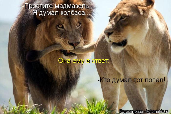 -Простите мадмазель... Я думал колбаса... Она ему в ответ: -Кто думал тот попал!... Котоматрица: -Простите мадмазель... Я думал колбаса... Она ему в ответ: -Кто думал тот попал!