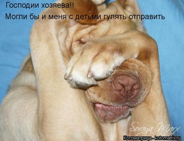 Господии хозяева!! Могли бы и меня с детьми гулять отправить... Котоматрица: Господии хозяева!! Могли бы и меня с детьми гулять отправить