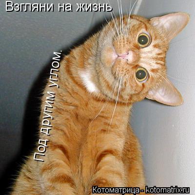 Взгляни на жизнь Под другим углом.... Котоматрица: Взгляни на жизнь Под другим углом.