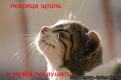 похреца щтоль и музён послушать... Котоматрица: похреца щтоль и музён послушать
