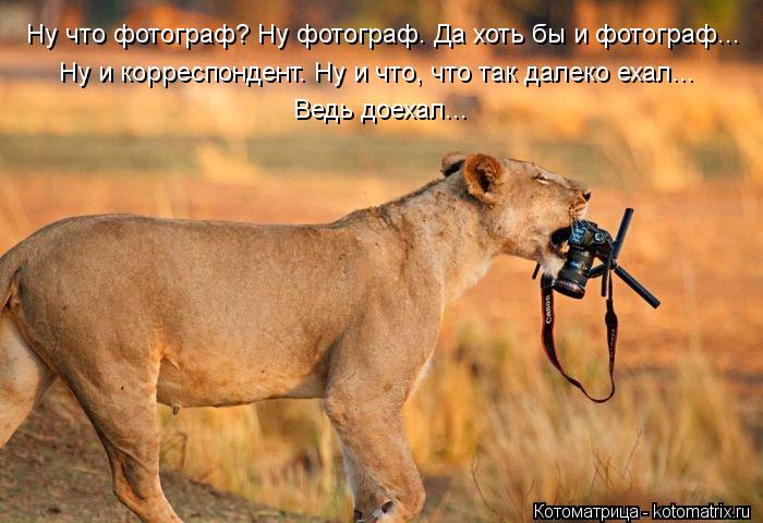 Ну что фотограф? Ну фотограф. Да хоть бы и фотограф... Ну и корреспондент. Ну и что, что так далеко е... Котоматрица: Ну что фотограф? Ну фотограф. Да хоть бы и фотограф... Ну и корреспондент. Ну и что, что так далеко ехал... Ведь доехал...