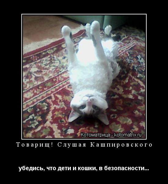 Товарищ! Слушая Кашпировского убедись, что дети и кошки, в безопасности...... Котоматрица: Товарищ! Слушая Кашпировского убедись, что дети и кошки, в безопасности...