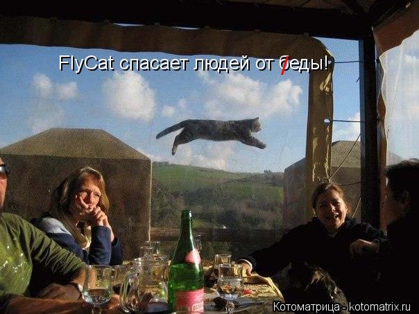 FlyCat спасает людей от беды! /... Котоматрица: FlyCat спасает людей от беды! /