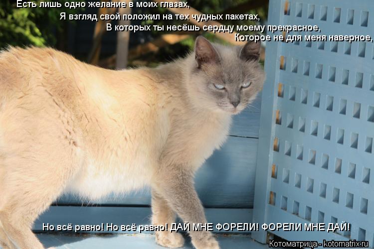 Есть лишь одно желание в моих глазах, Я взгляд свой положил на тех чудных пакетах, В которых ты несёш... Котоматрица: Есть лишь одно желание в моих глазах, Я взгляд свой положил на тех чудных пакетах, В которых ты несёшь сердцу моему прекрасное, Которое не дл