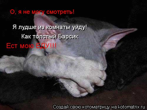 О, я не могу смотреть! Я лудше из комнаты уйду! Как толстый Барсик Ест мою ЕДУ!!!... Котоматрица: О, я не могу смотреть! Я лудше из комнаты уйду! Как толстый Барсик Ест мою ЕДУ!!!
