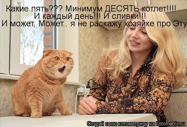 Какие пять??? Минимум ДЕСЯТЬ котлет!!!! И каждый день!!! И сливки!!! И может, Может.. я не раскажу хо... Котоматрица: Какие пять??? Минимум ДЕСЯТЬ котлет!!!! И каждый день!!! И сливки!!! И может, Может.. я не раскажу хозяйке про Эту