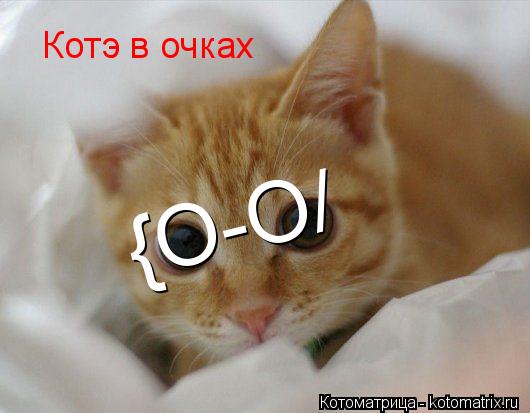 {О-O/ Котэ в очках... Котоматрица: {О-O/ Котэ в очках