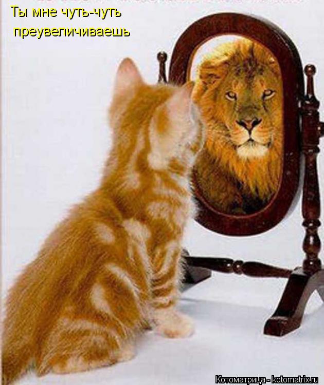 Ты мне чуть-чуть преувеличиваешь... Котоматрица: Ты мне чуть-чуть преувеличиваешь