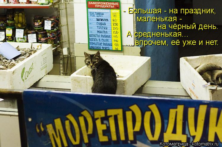 - Большая - на праздник, маленькая - на чёрный день. А средненькая... ... впрочем, её уже и нет.... Котоматрица: - Большая - на праздник, маленькая - на чёрный день. А средненькая... ... впрочем, её уже и нет.