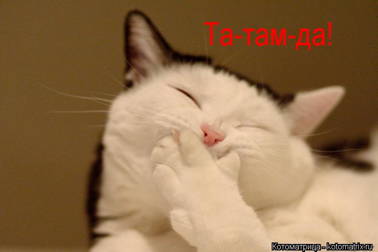 Та-там-да!... Котоматрица: Та-там-да!