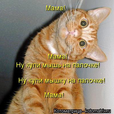 Ну купи мышь на палочке! Мама! Мама! Мама! Ну купи мышку на палочке!... Котоматрица: Ну купи мышь на палочке! Мама! Мама! Мама! Ну купи мышку на палочке!